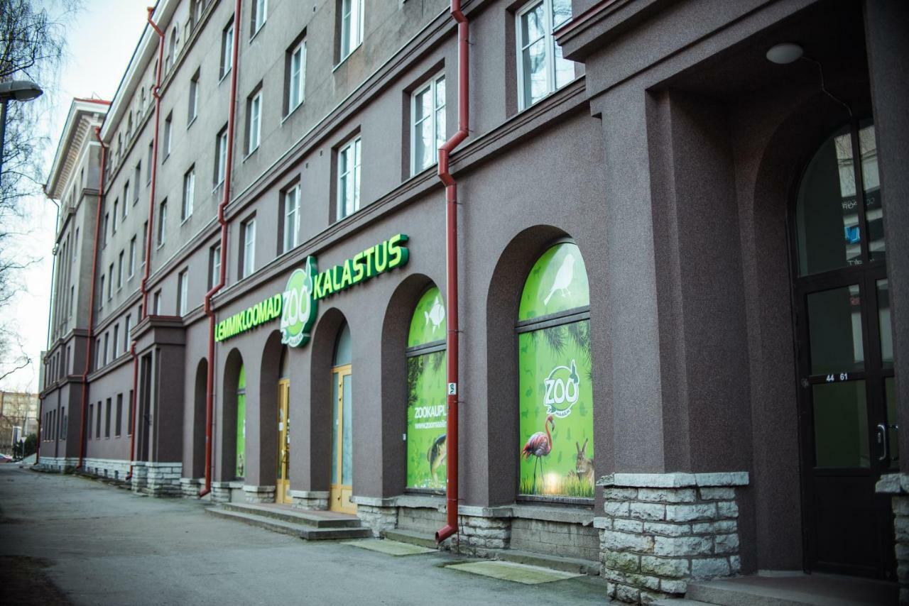 Large Studio Downtown Таллінн Екстер'єр фото
